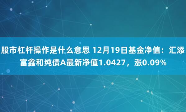 股市杠杆操作是什么意思 12月19日基金净值：汇添富鑫和纯债A最新净值1.0427，涨0.09%