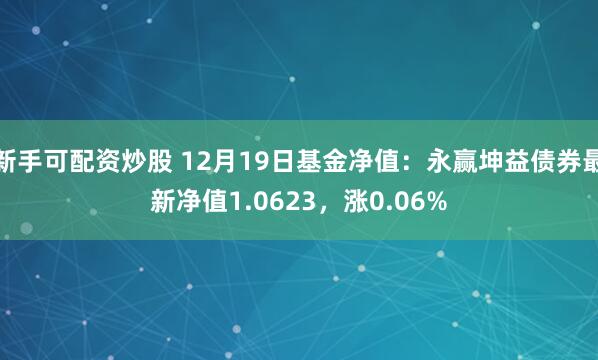 新手可配资炒股 12月19日基金净值：永赢坤益债券最新净值1.0623，涨0.06%