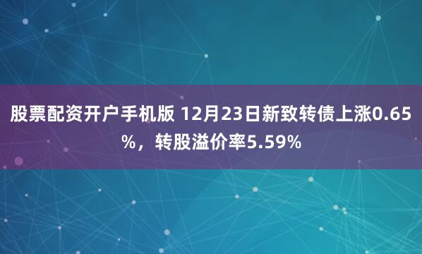 股票配资开户手机版 12月23日新致转债上涨0.65%，转股溢价率5.59%