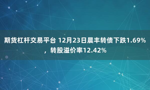 期货杠杆交易平台 12月23日晨丰转债下跌1.69%，转股溢价率12.42%