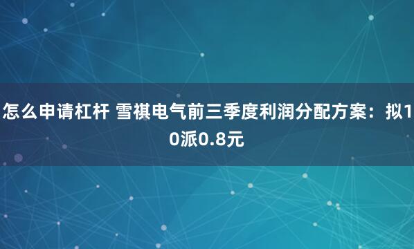 怎么申请杠杆 雪祺电气前三季度利润分配方案：拟10派0.8元