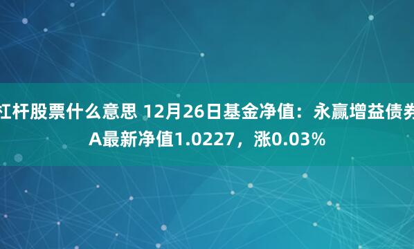 杠杆股票什么意思 12月26日基金净值：永赢增益债券A最新净值1.0227，涨0.03%