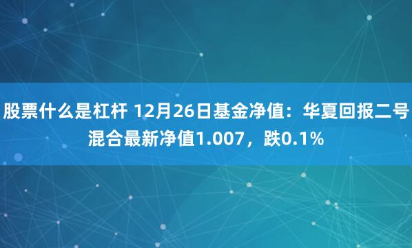 股票什么是杠杆 12月26日基金净值：华夏回报二号混合最新净值1.007，跌0.1%