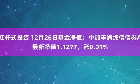 杠杆式投资 12月26日基金净值：中加丰润纯债债券A最新净值1.1277，涨0.01%