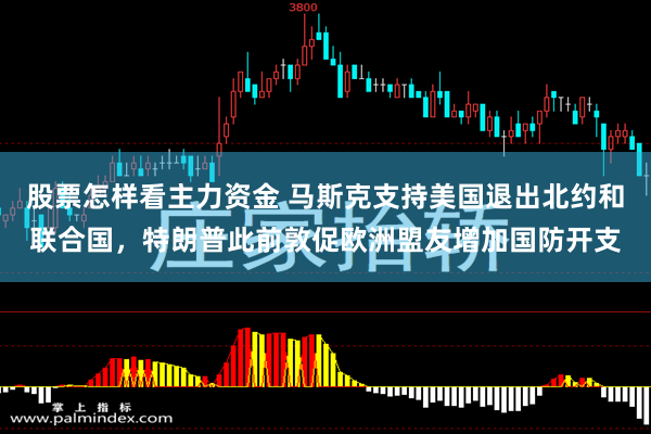 股票怎样看主力资金 马斯克支持美国退出北约和联合国，特朗普此前敦促欧洲盟友增加国防开支