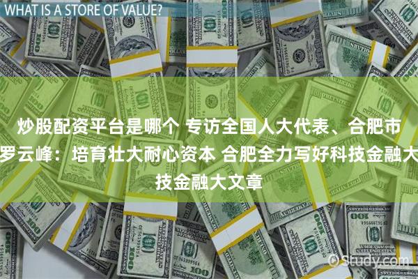 炒股配资平台是哪个 专访全国人大代表、合肥市市长罗云峰：培育壮大耐心资本 合肥全力写好科技金融大文章